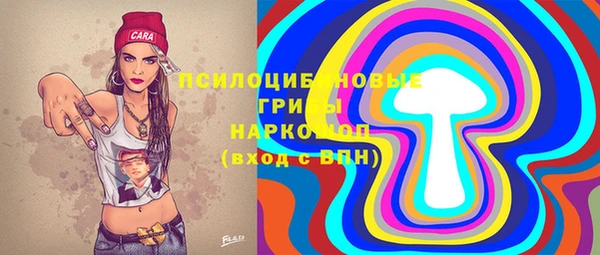 соль ск Туринск