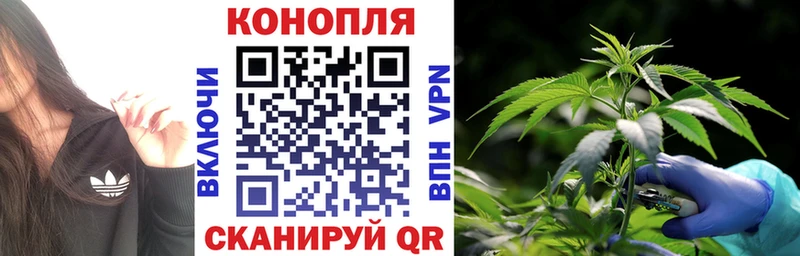 Бошки Шишки семена  Михайлов 